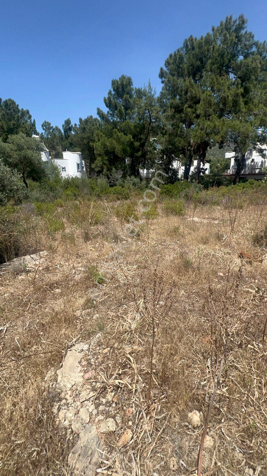 Muğla Milas Bozbük‘te Satılık 925 Metre Konut Artı Ticari Otel İmarlı Arsa - Görsel 23