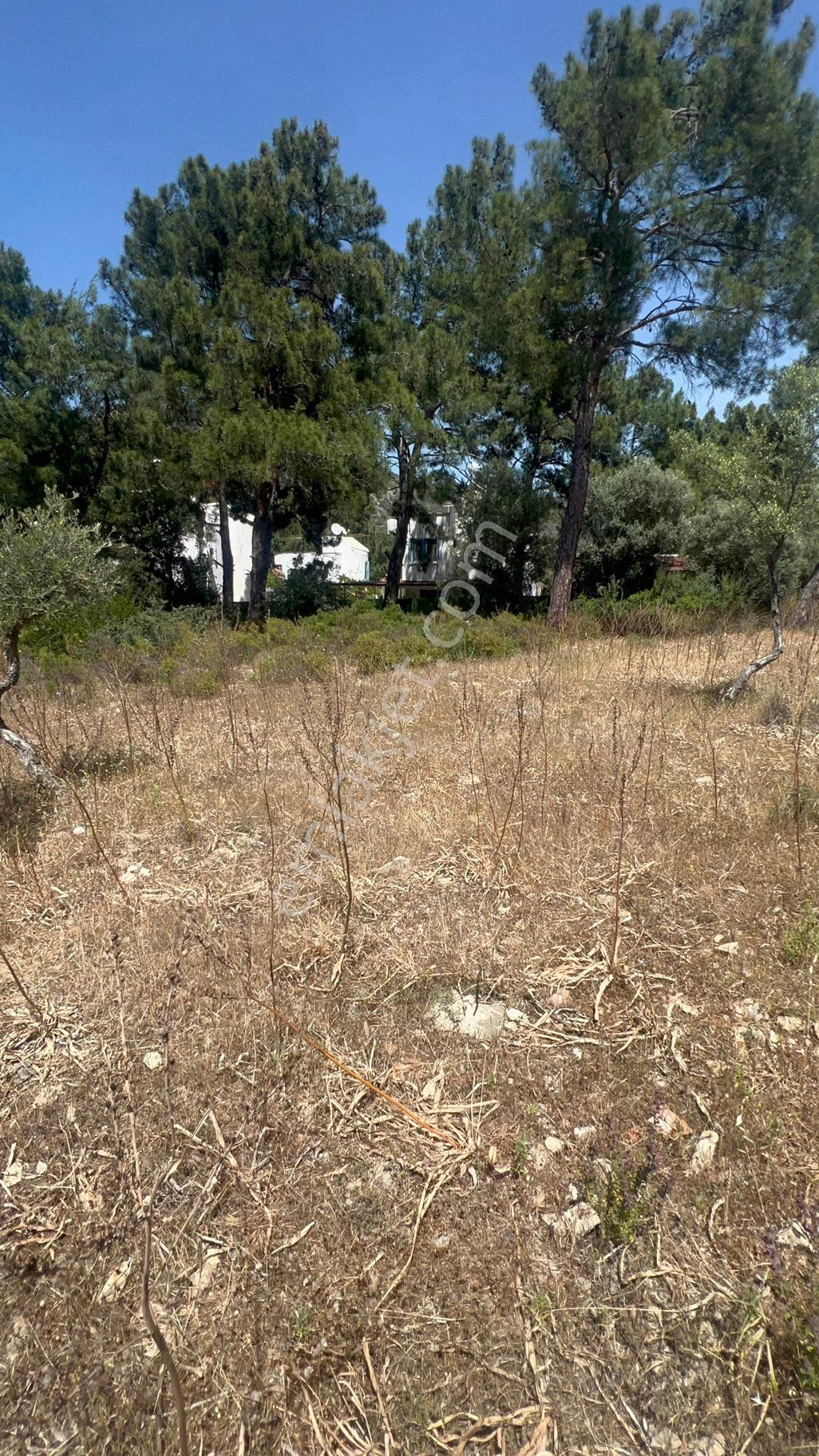 Muğla Milas Bozbük‘te Satılık 925 Metre Konut Artı Ticari Otel İmarlı Arsa - Görsel 5