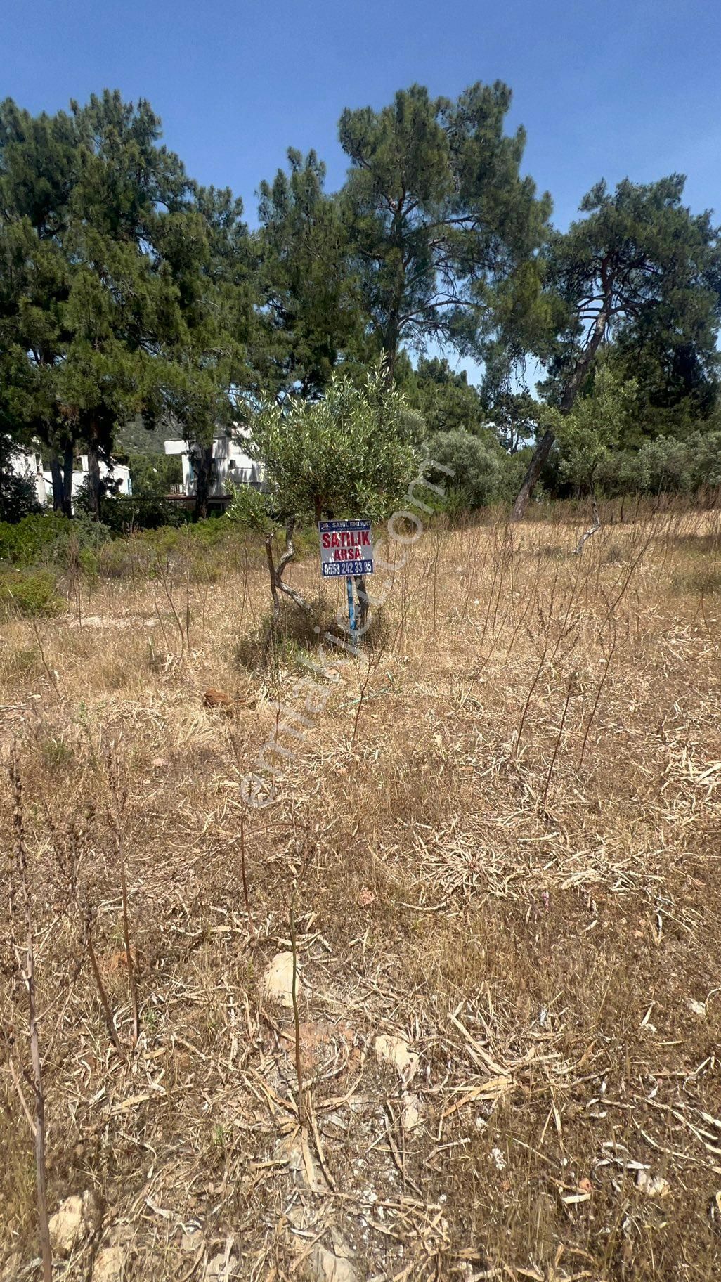 Muğla Milas Bozbük‘te Satılık 925 Metre Konut Artı Ticari Otel İmarlı Arsa - Görsel 22