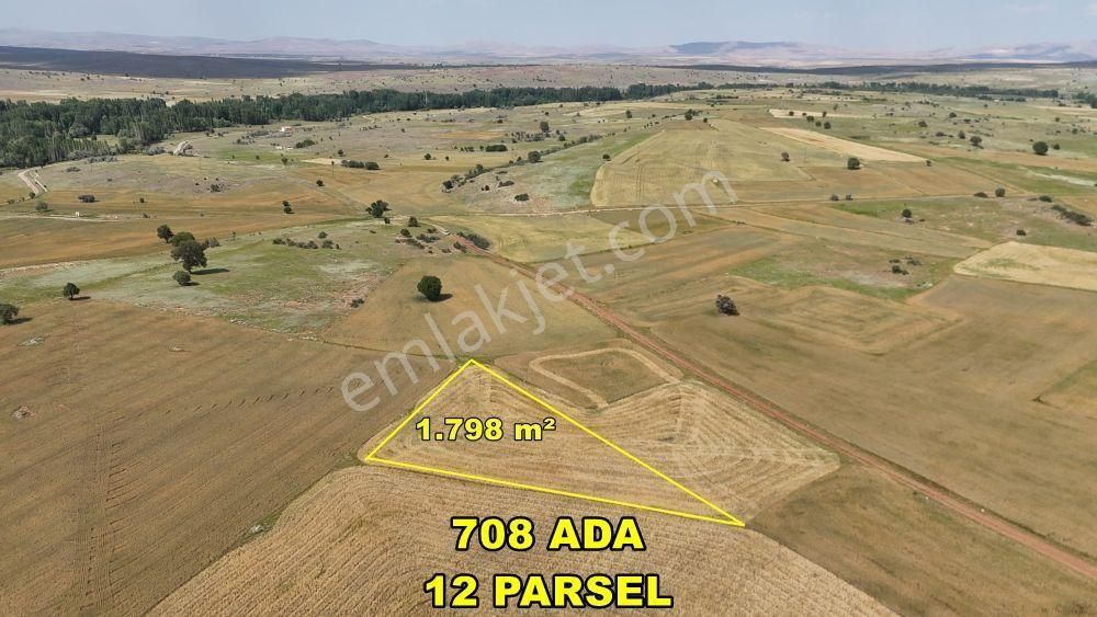 Konya / Akören / Tülce'de 1.798 M² Müstakil Tapu Tarım Arazisi
