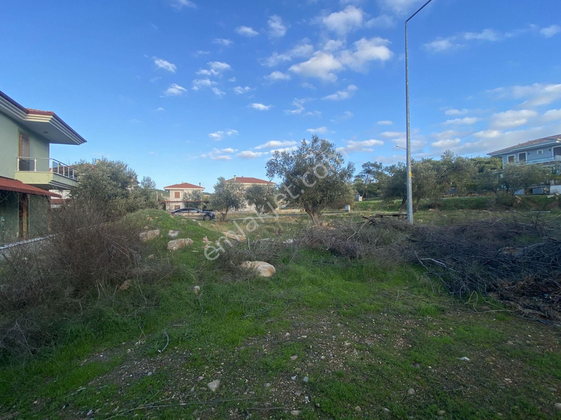 Balıkesir Ayvalık Sarımsaklı Da Satılık 4532 Metre Kare Villa İmarlı Arsa