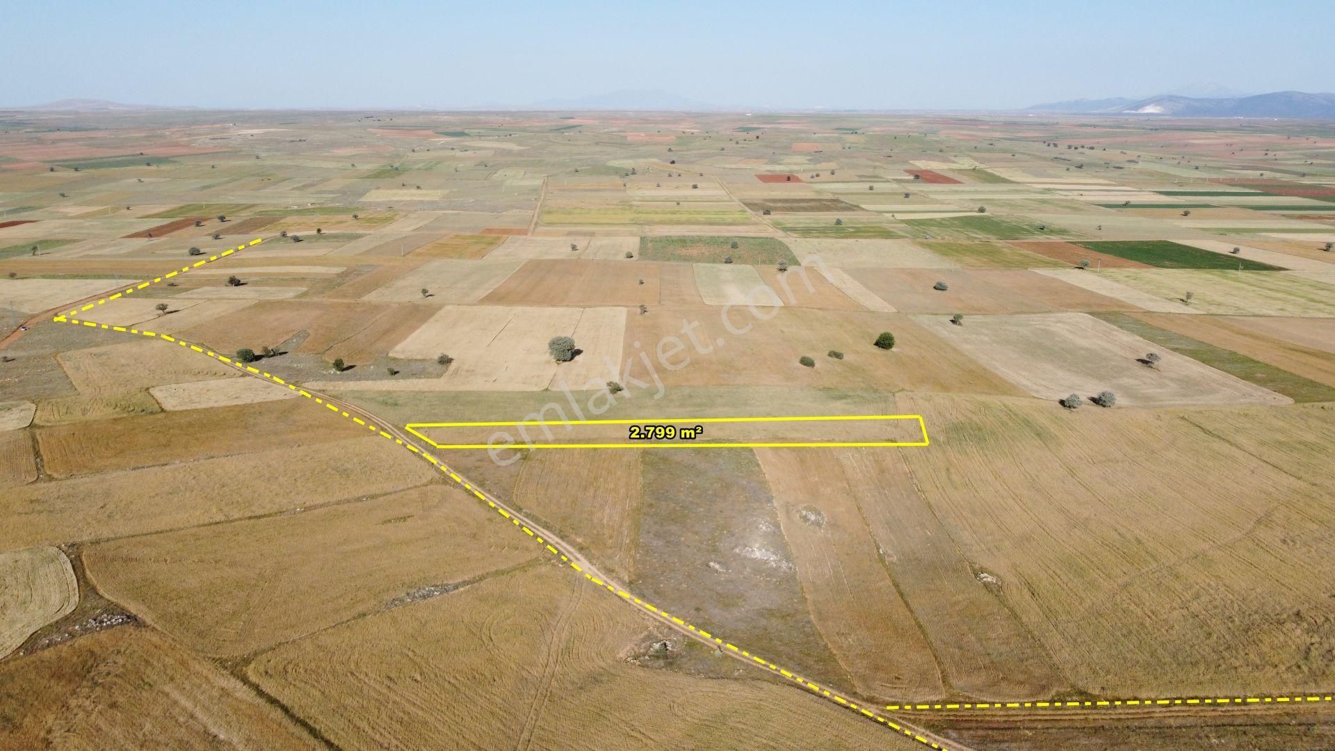 Konya / Akören / Hacılar'da 2.799 M² Yatırıma Uygun Müstakil Tarım Arazisi