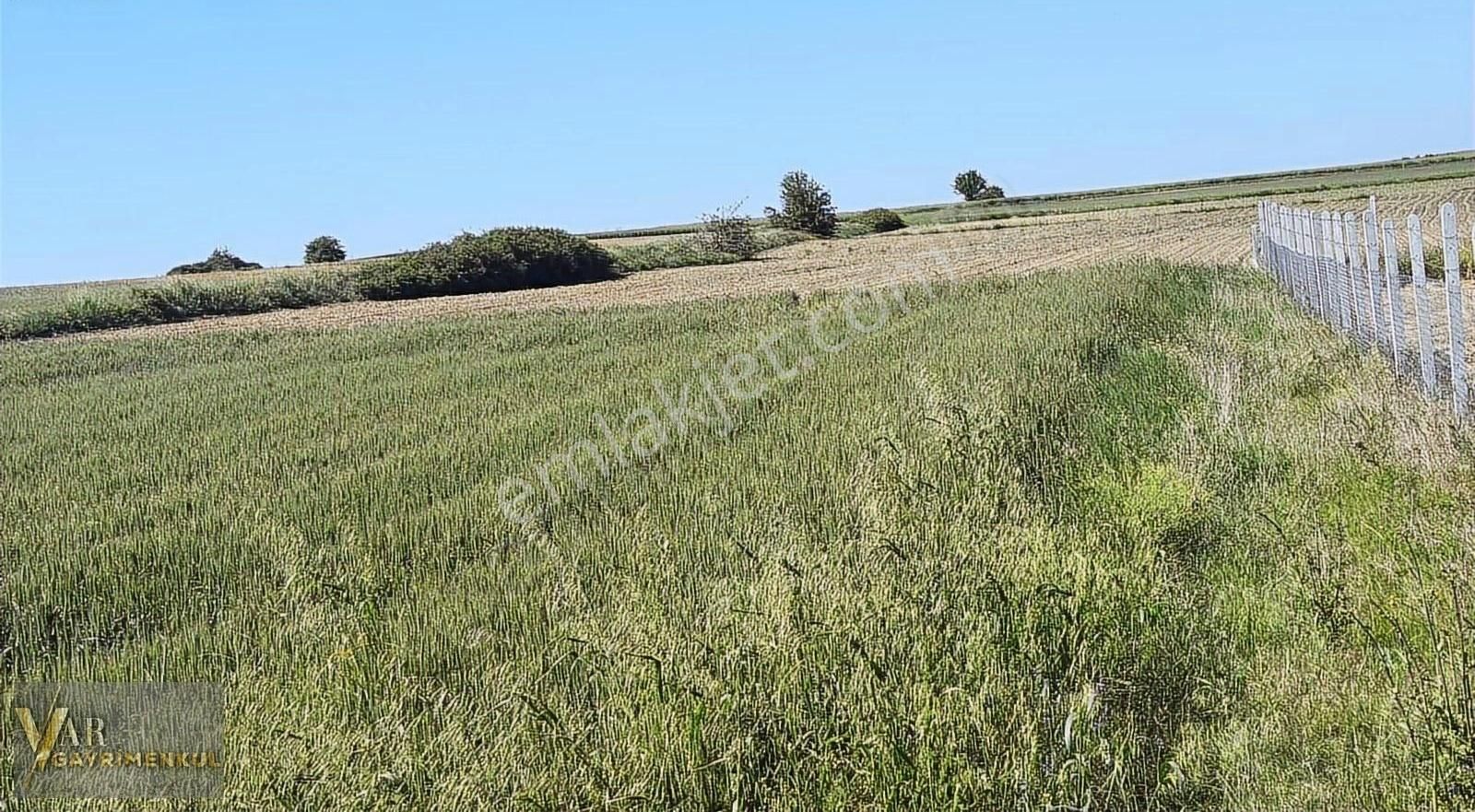 Tekirdağ Saray Çukuryurt Satılık Tek Tapu 4200m2 Tarla