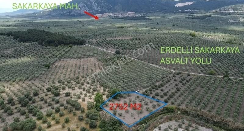 Ermiş Emlaktan Erdelli De Elektrik Suyu Olan Zeytinlik