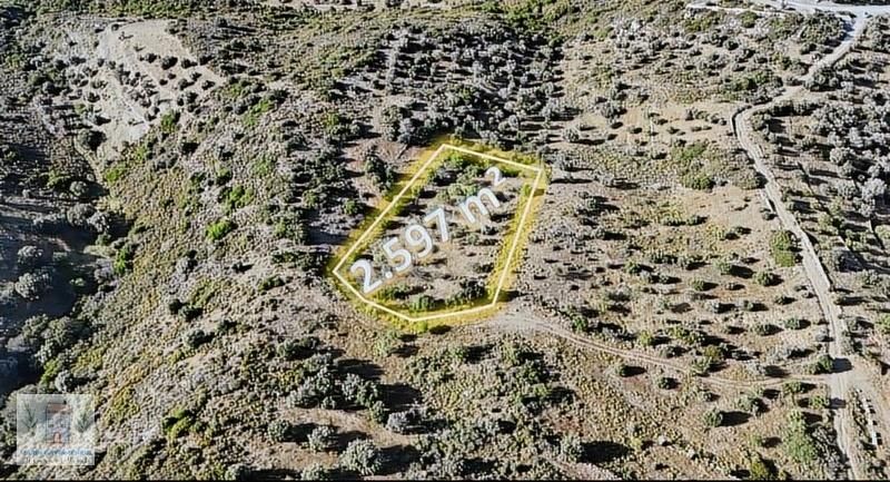Marin'den Yazı'da 2.597 M² Satılık Tarla