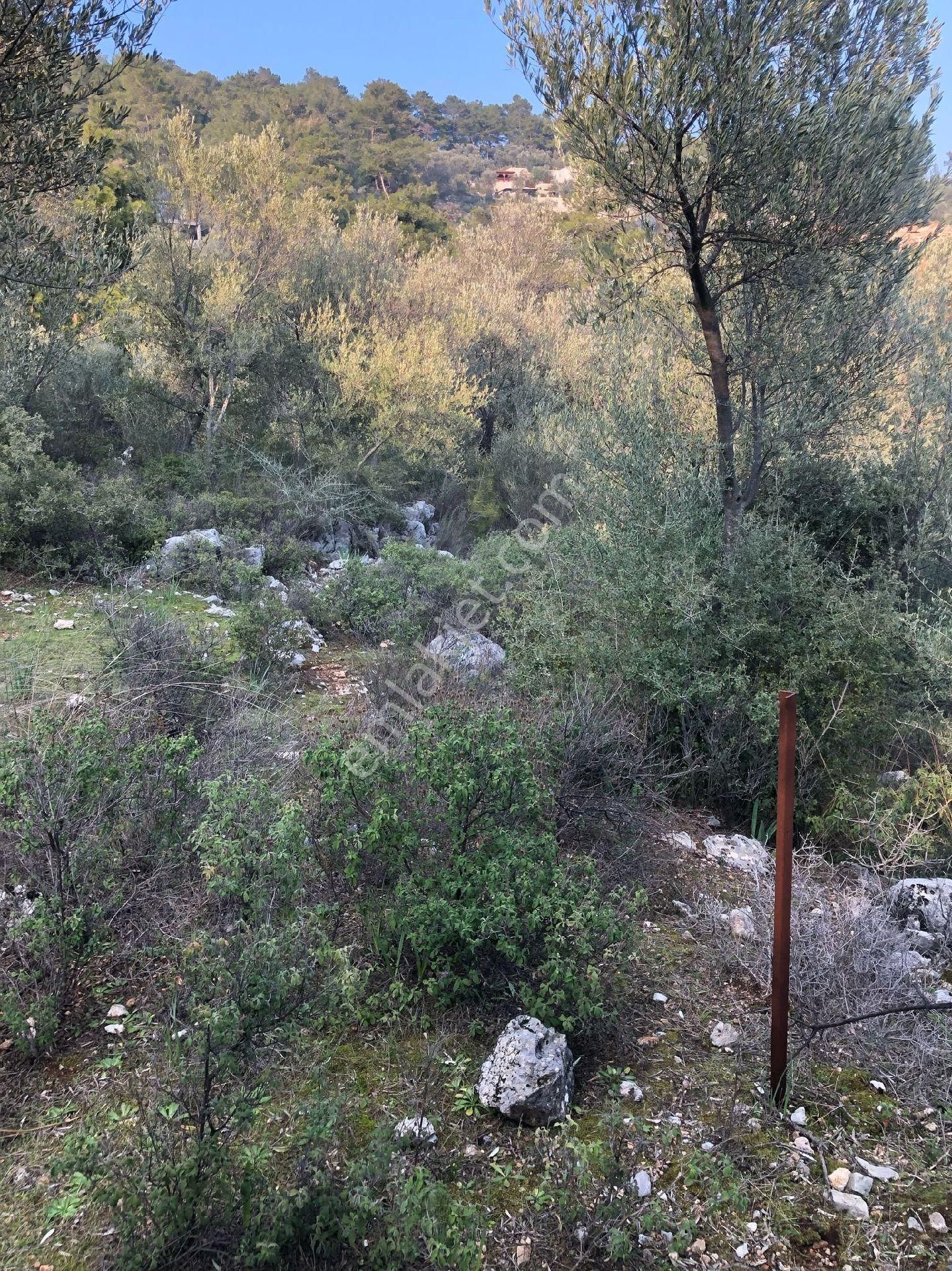 Gökçeovacıkta Etrafında Villalar Bulunan Yol Su Elektrik Sorunu Olmayan Satılık Tarla - Görsel 12