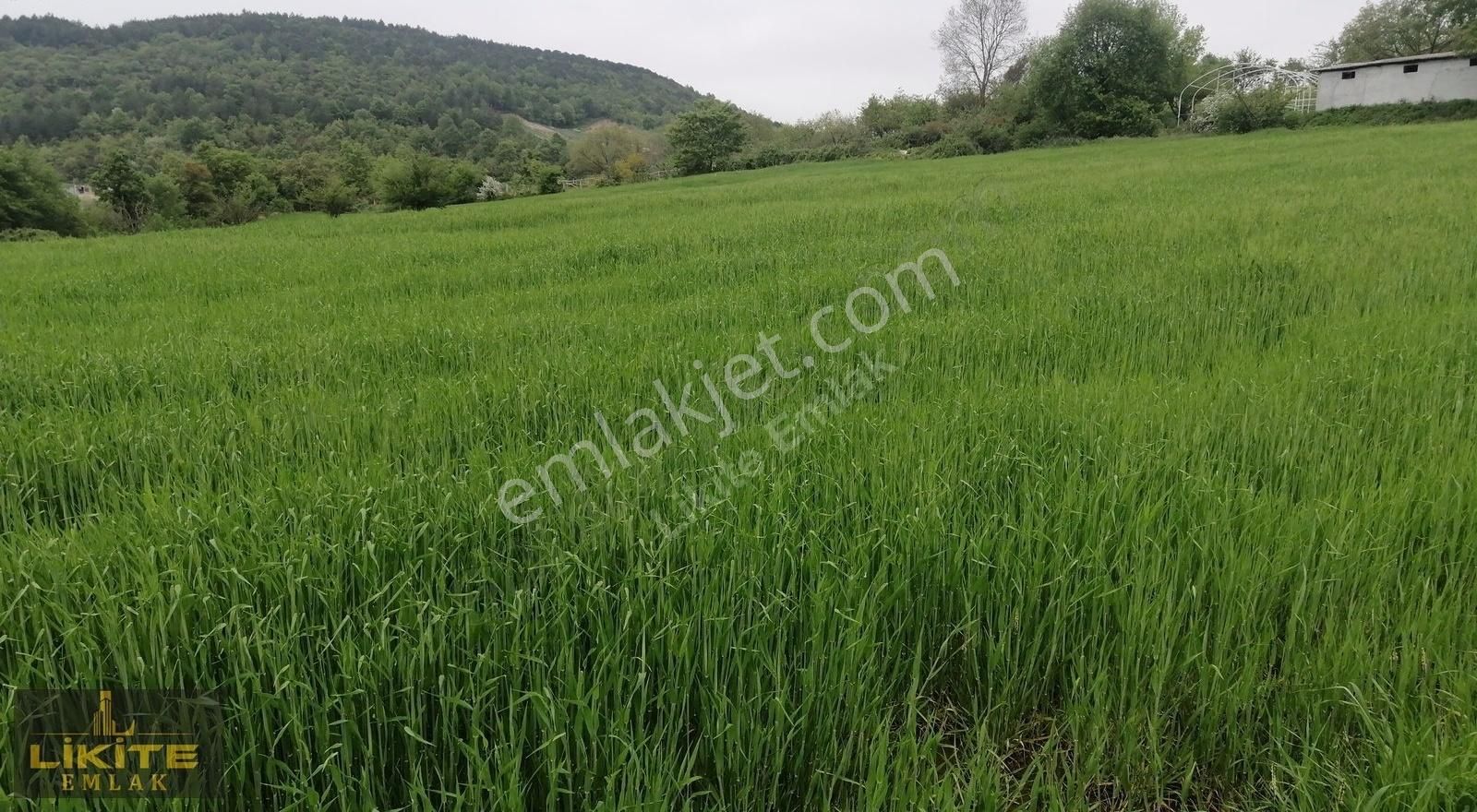 Likite Emlak'tan Geyikderede Yol Kenarı 6 Dönüm Yatırımlık Tarla