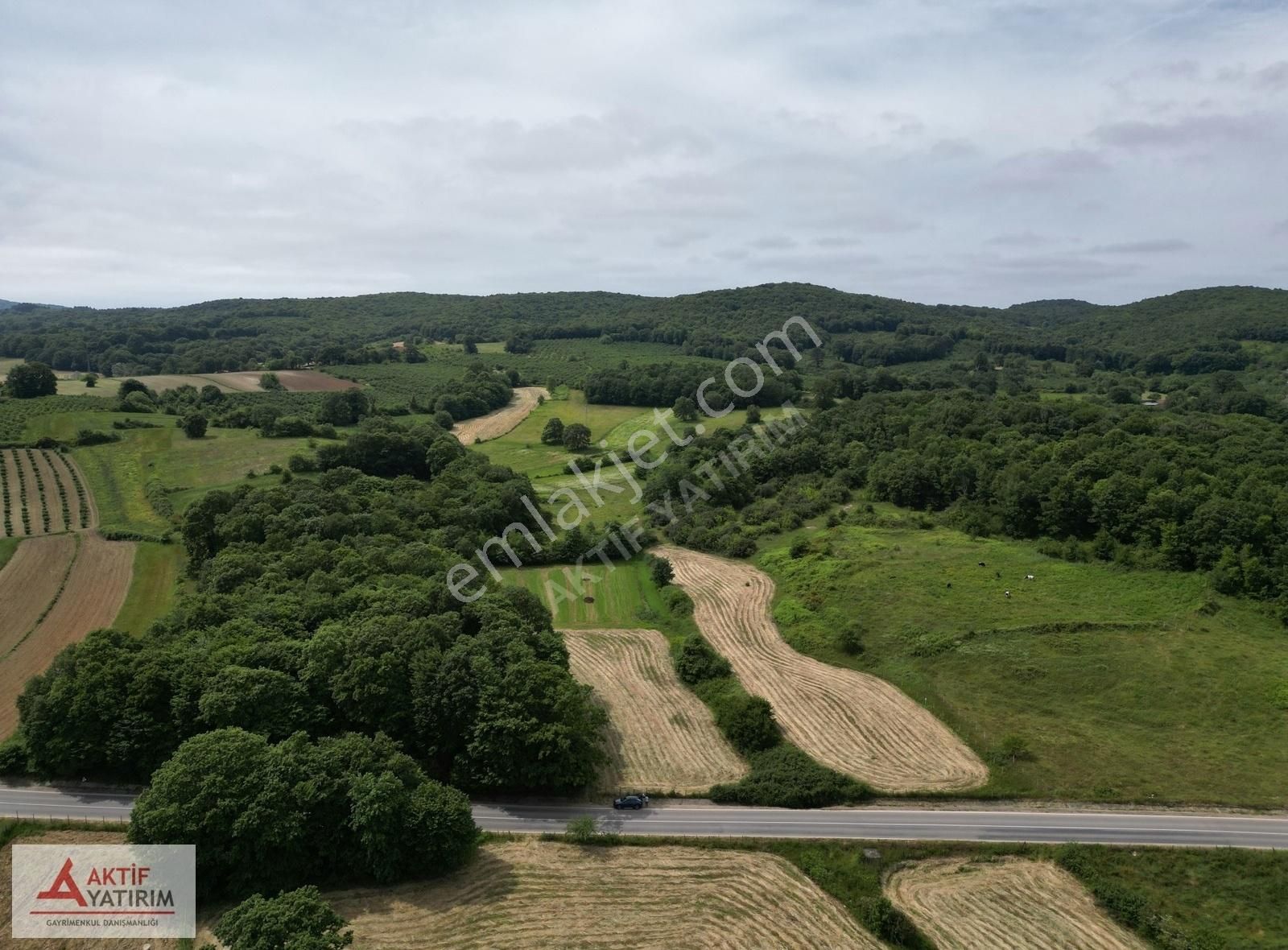 Denize 10 Dakika Kurtyeri'nde 5355 M2 Ormana Cepheli Kelepir - Görsel 26