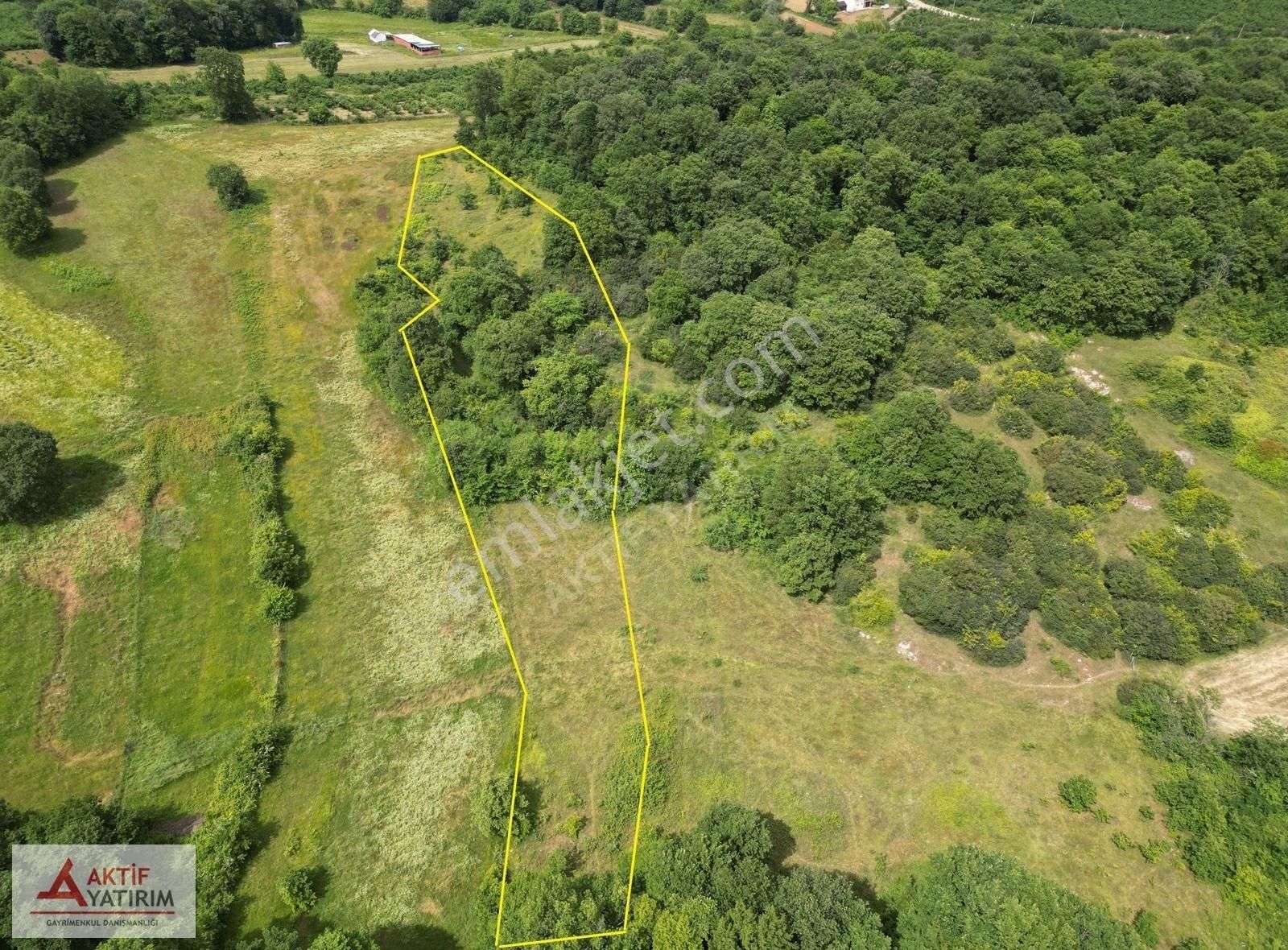 Denize 10 Dakika Kurtyeri'nde 5355 M2 Ormana Cepheli Kelepir - Görsel 22