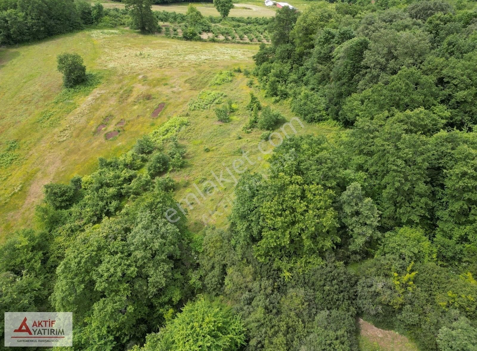 Denize 10 Dakika Kurtyeri'nde 5355 M2 Ormana Cepheli Kelepir - Görsel 16