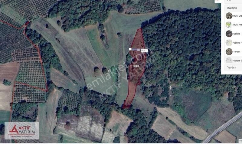 Denize 10 Dakika Kurtyeri'nde 5355 M2 Ormana Cepheli Kelepir - Görsel 34