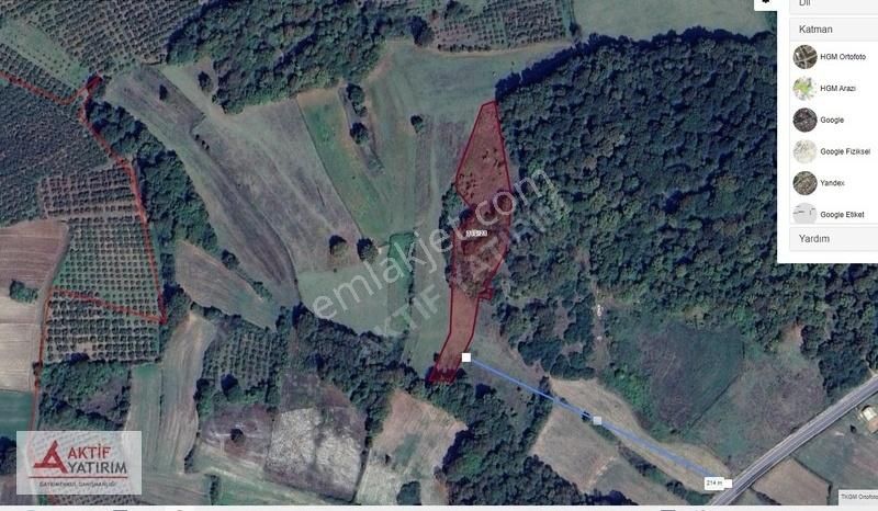 Denize 10 Dakika Kurtyeri'nde 5355 M2 Ormana Cepheli Kelepir - Görsel 4