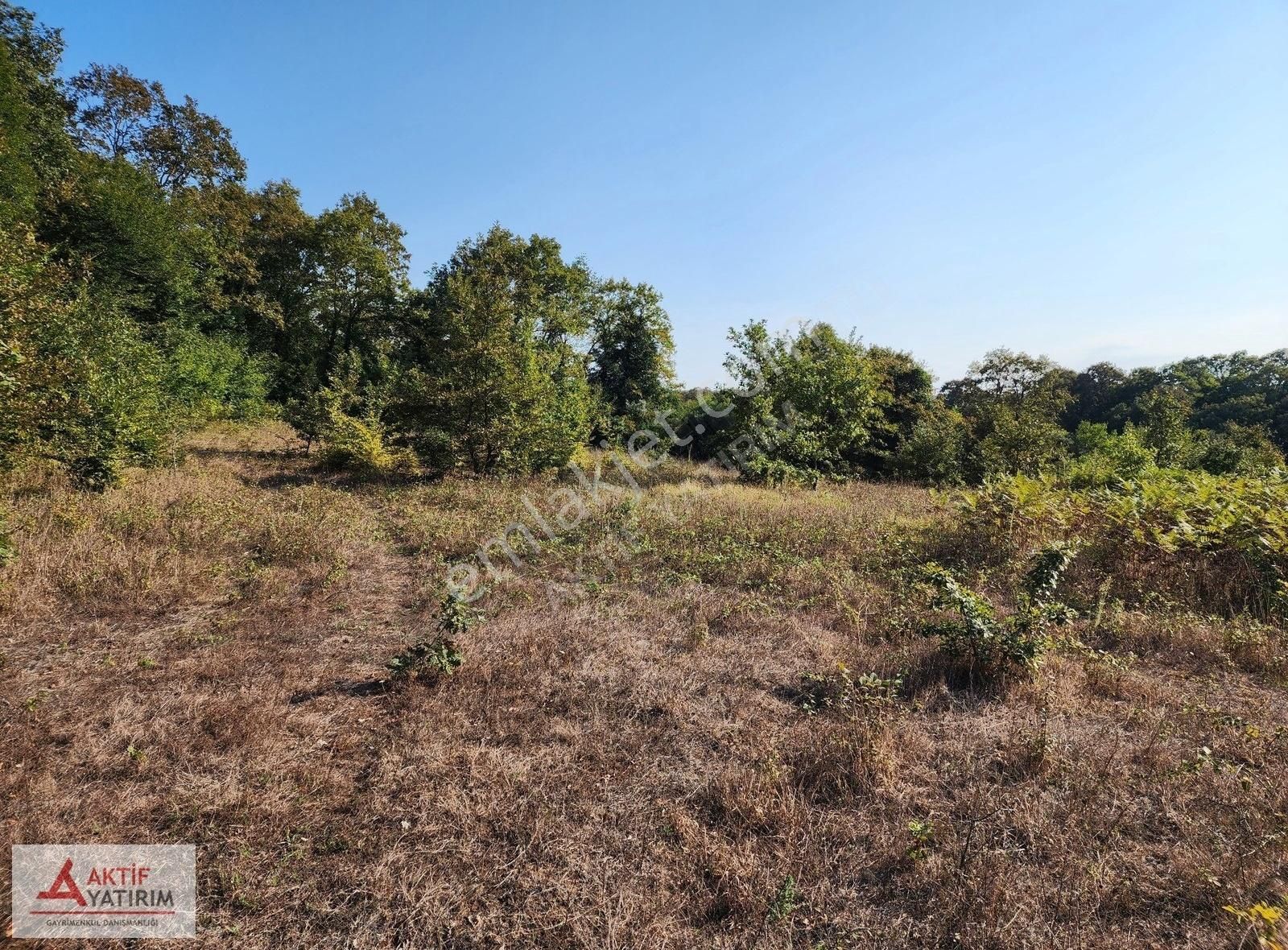 Denize 10 Dakika Kurtyeri'nde 5355 M2 Ormana Cepheli Kelepir - Görsel 6