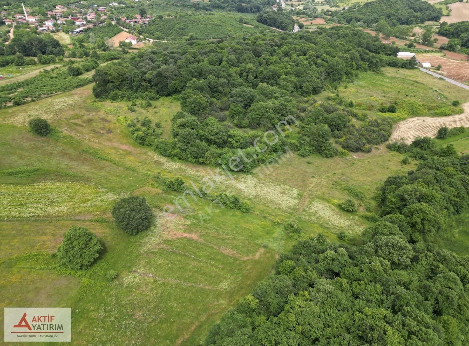 Denize 10 Dakika Kurtyeri'nde 5355 M2 Ormana Cepheli Kelepir - Görsel 28