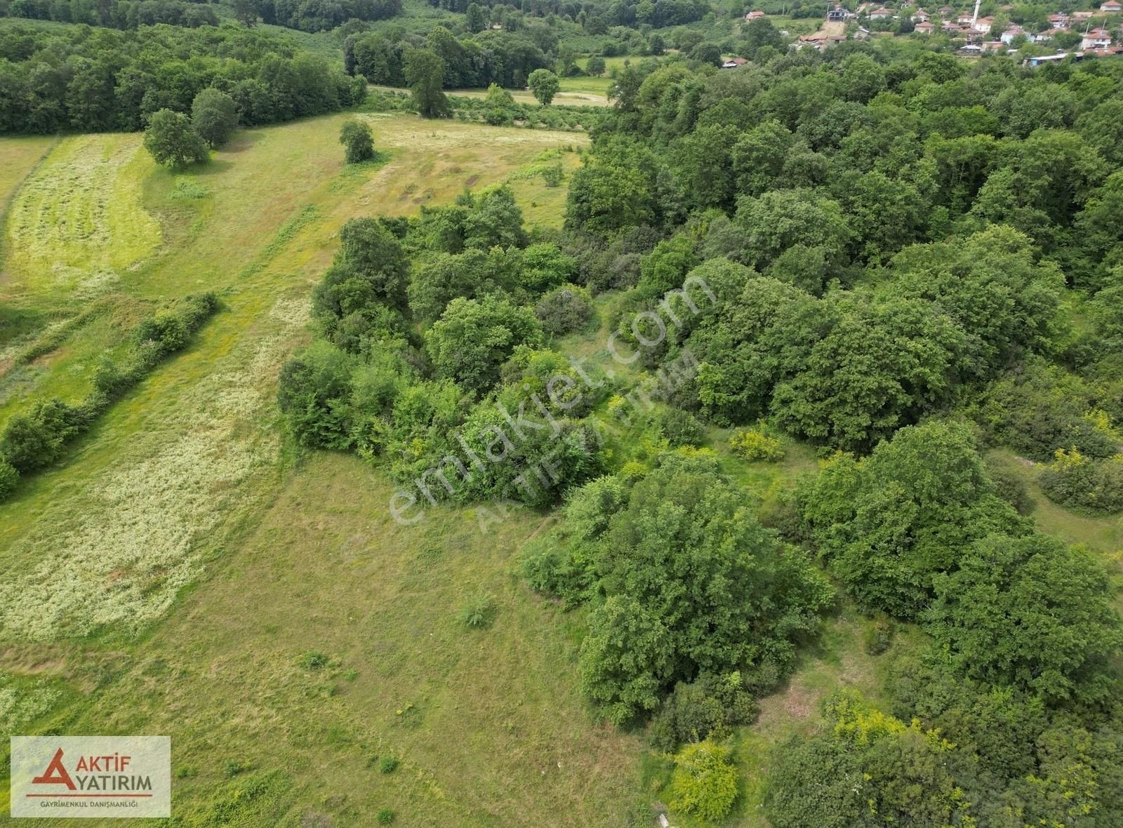 Denize 10 Dakika Kurtyeri'nde 5355 M2 Ormana Cepheli Kelepir - Görsel 35