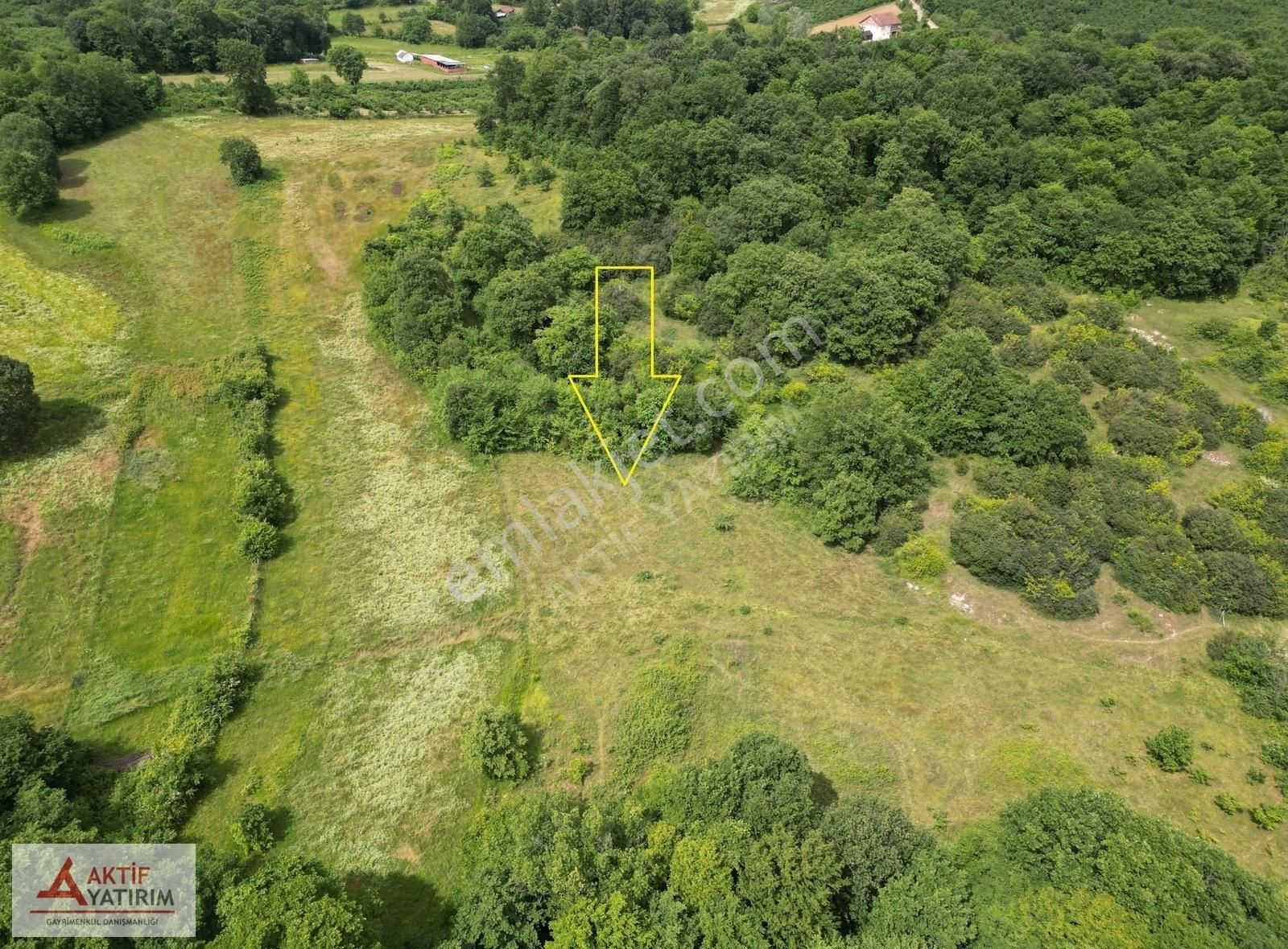 Denize 10 Dakika Kurtyeri'nde 5355 M2 Ormana Cepheli Kelepir - Görsel 9