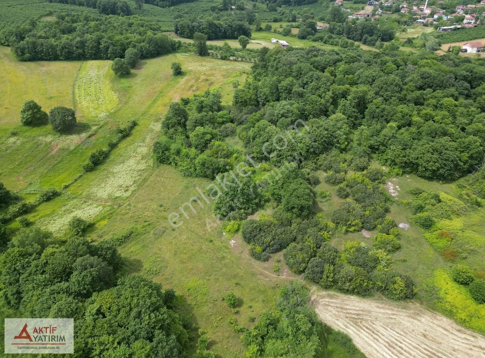 Denize 10 Dakika Kurtyeri'nde 5355 M2 Ormana Cepheli Kelepir - Görsel 21