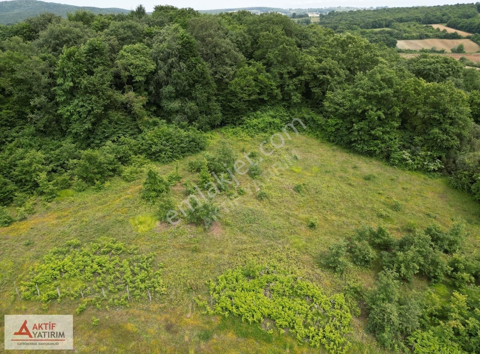 Denize 10 Dakika Kurtyeri'nde 5355 M2 Ormana Cepheli Kelepir - Görsel 32