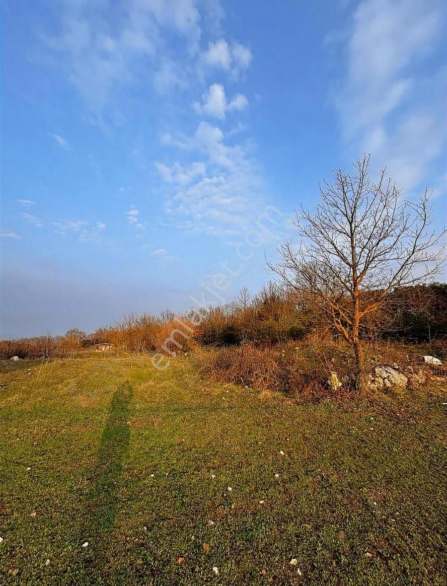 Güngörende Asfalt Yola Cephe Full Manzaralı Arazi