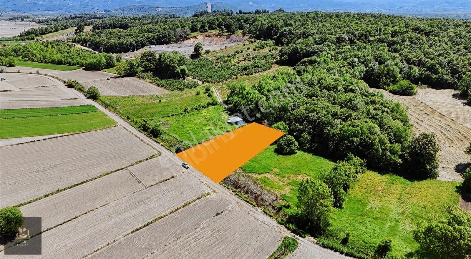 Resmi Yollu 847 M2 Fırsat Kupon Arazi