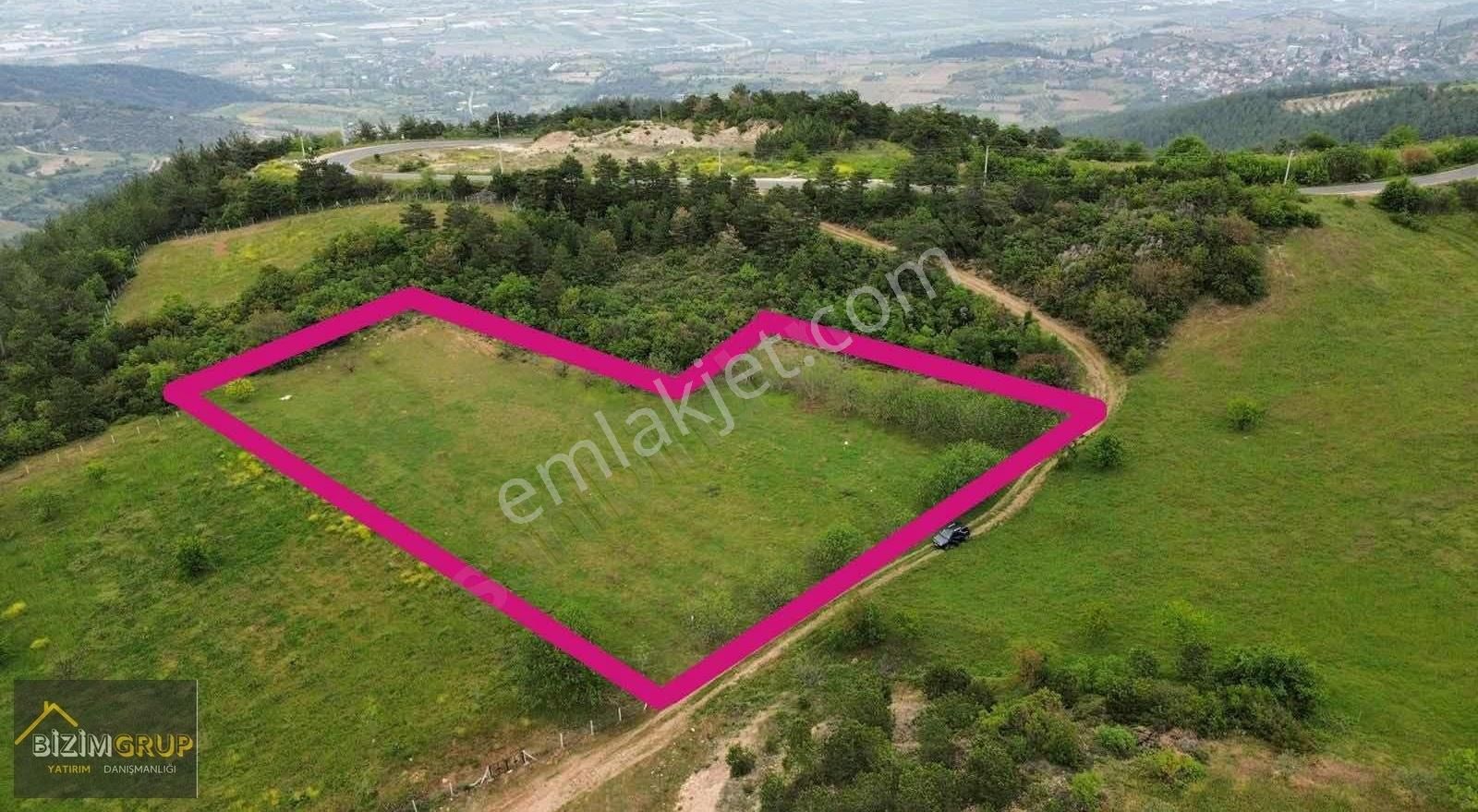 5311m2 Geyve Ceceler Resmi Yol Kenarı Kupon Arazi