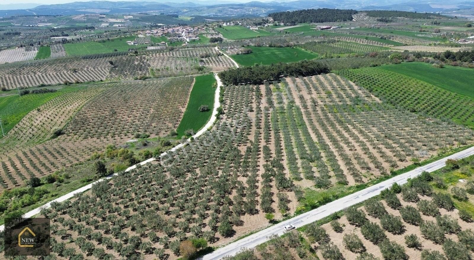New Gyo 'dan Hatun Köy' De Ana Yola Sıfır Satılık Zeytinlik - Görsel 7