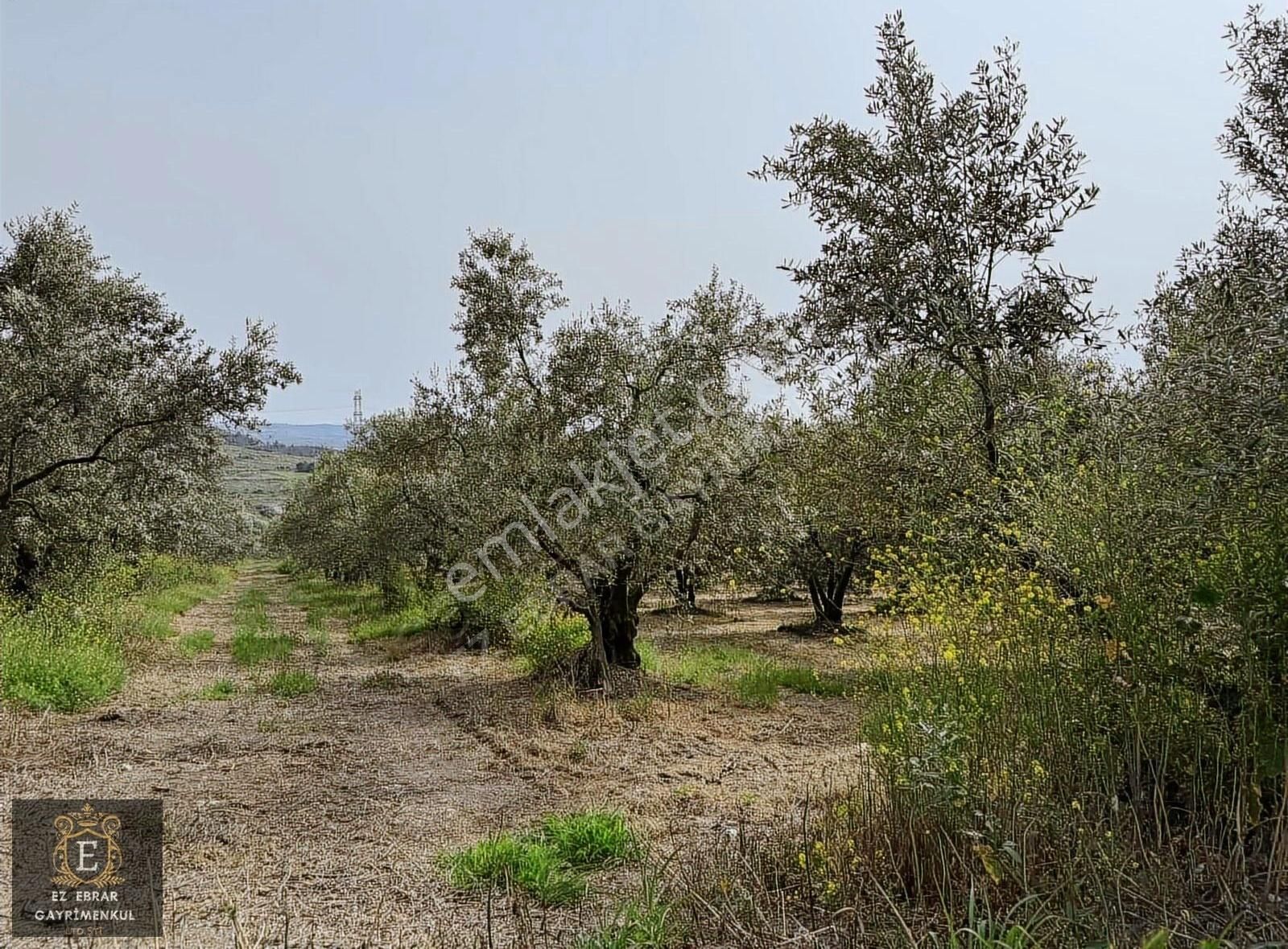 Mudanya Dereköyde 4100 M2 , Yatırımlık Arazi