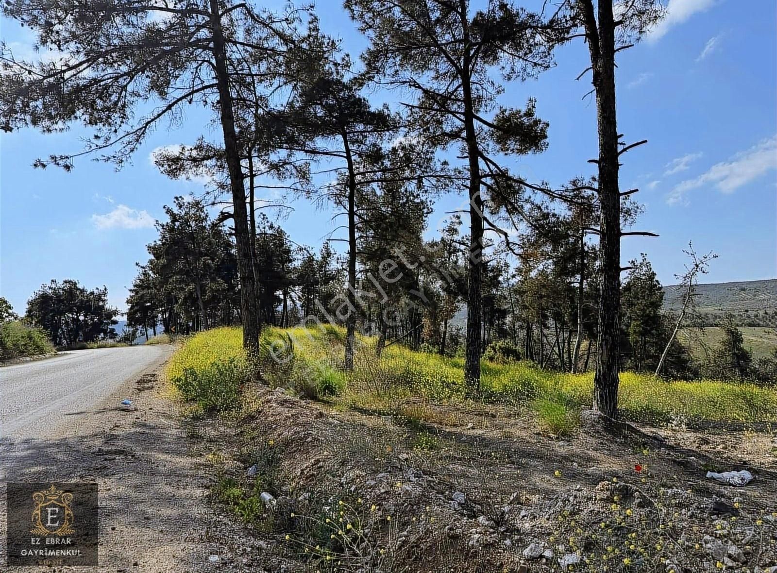 Mudanya Ülküköyde 1250 M2 , Yatırımlık Arazi