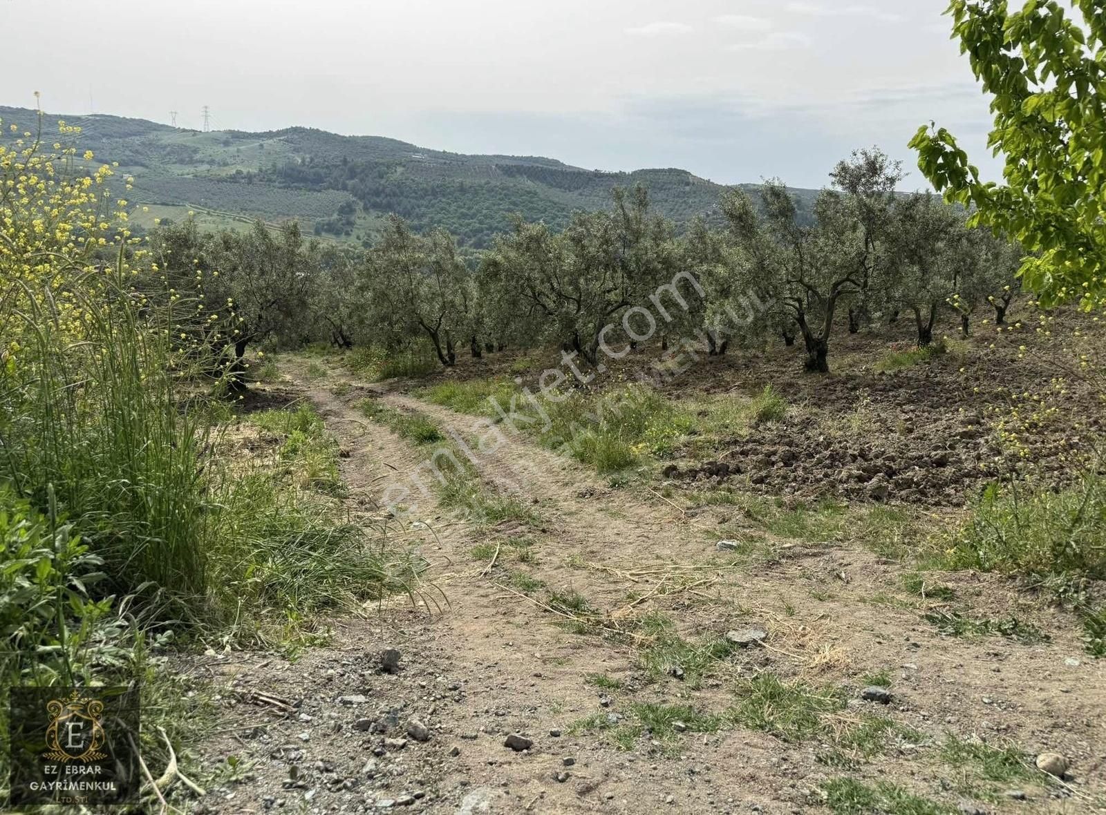 Mudanya Dereköyde 4700 M2 , Yatırımlık Arazi