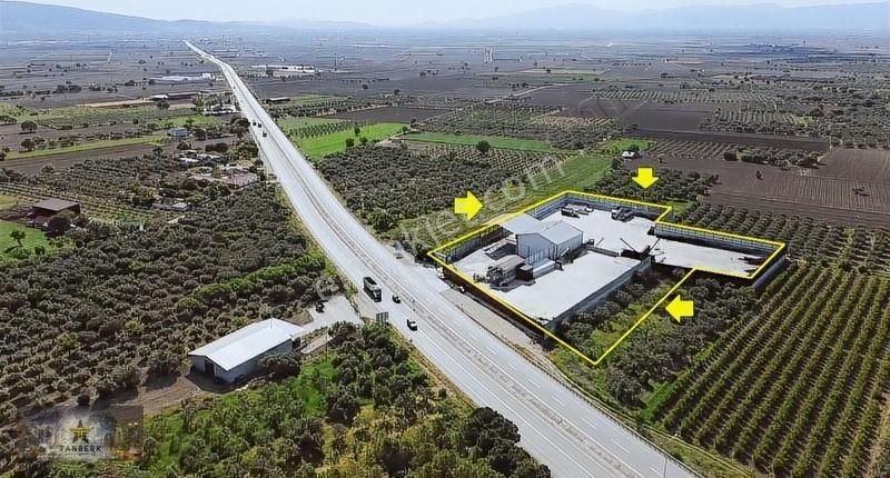 ^^tanberk Den Kiralık Kömür Depolama Paketleme Ve Dağıtım Tesis^