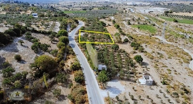 ^^tanberk Den Satılık Zeytinlik Kocaömerli De Yola Sıfır^^
