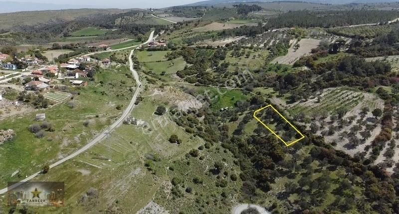 Tanberk Den Satılık Hobi Bahçesi Çiftlik Köy De 592 M2