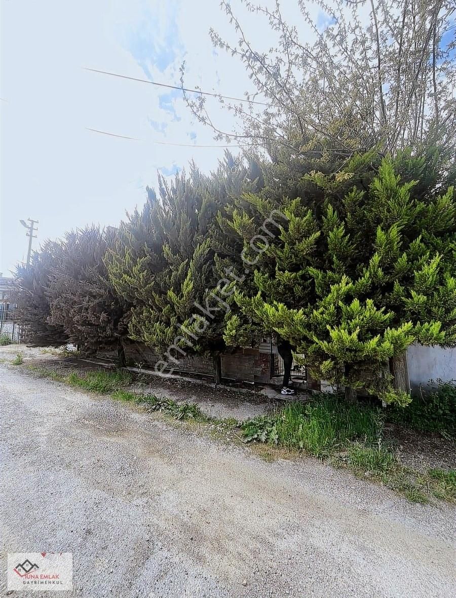 ~müstakil Havuzlu Villamız~