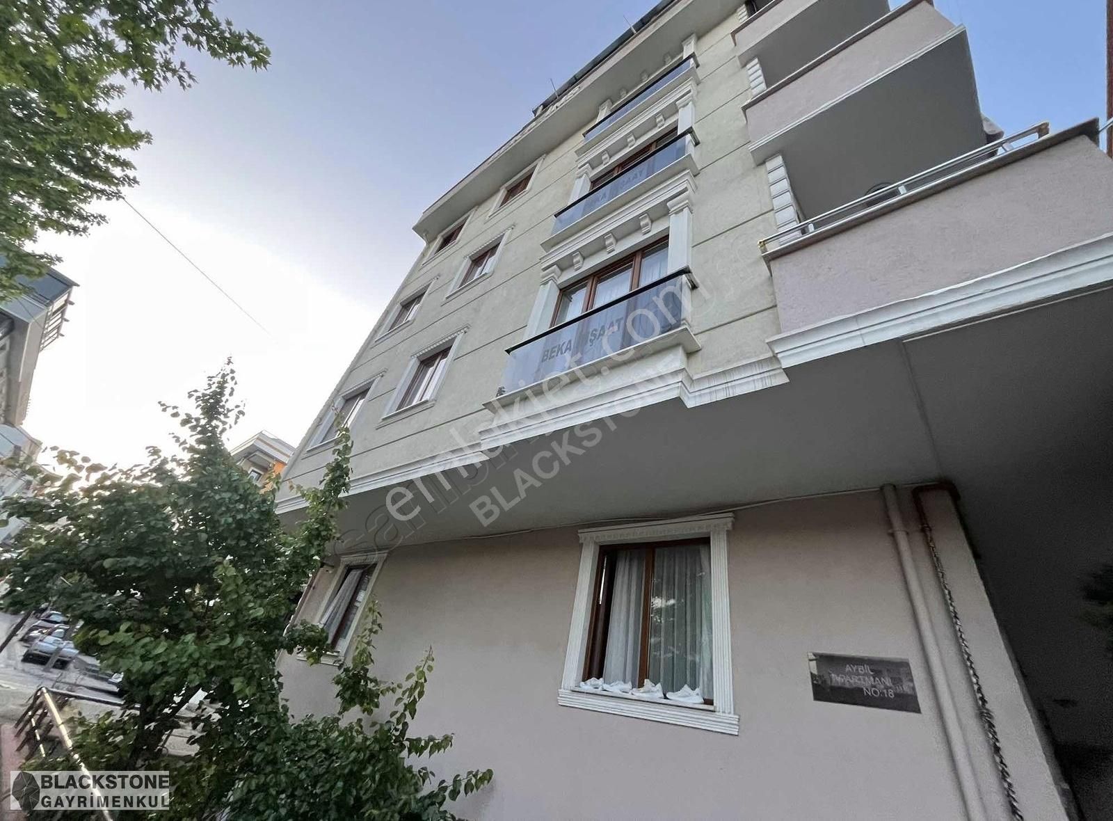 Blackstone Dan Sancaktepe Veysel Karani Mh. 3 +1 Arakat Satılık