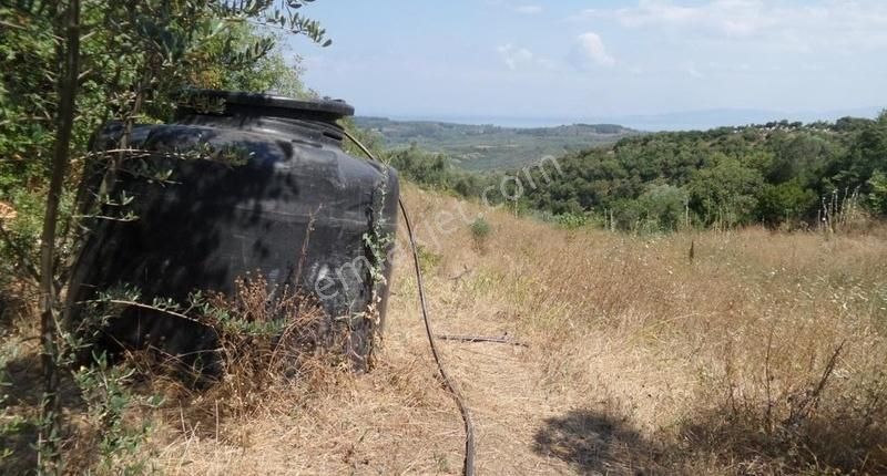 Talatbeyde Kadastro Yoluna 10 Metre Deniz Manzaralı Arazi