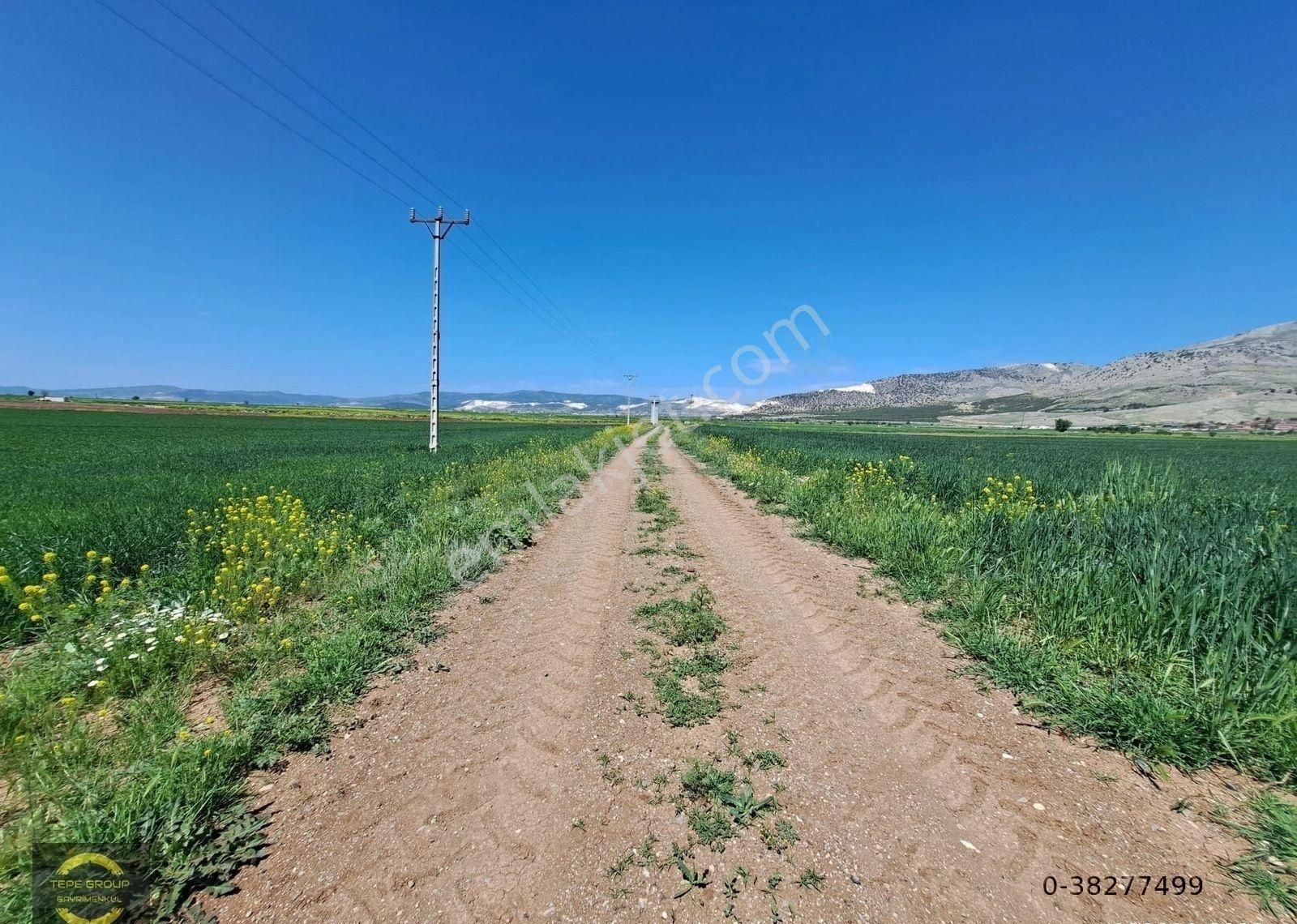 Burdur Karamanlı Kağılcıkta 11.312 M2 Satılık Sera Yeri