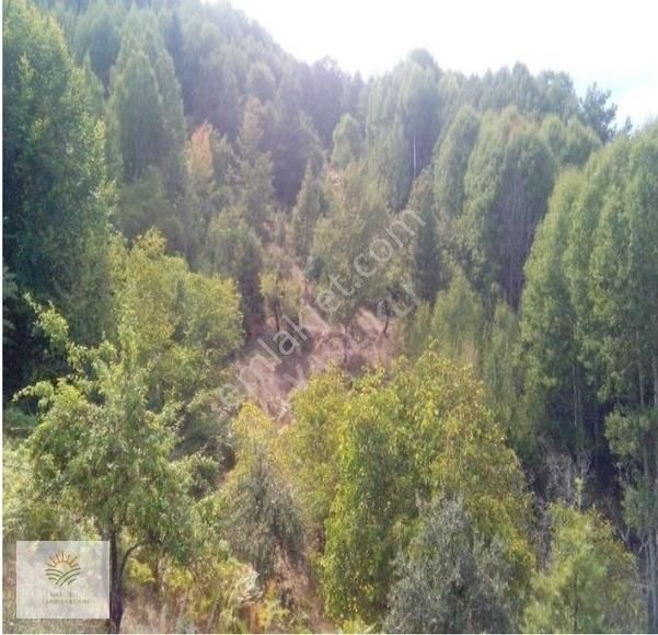 Bursaya Sadece 25 Dakika, Bölgenin En Ucuzu, Yarı Fiyatına