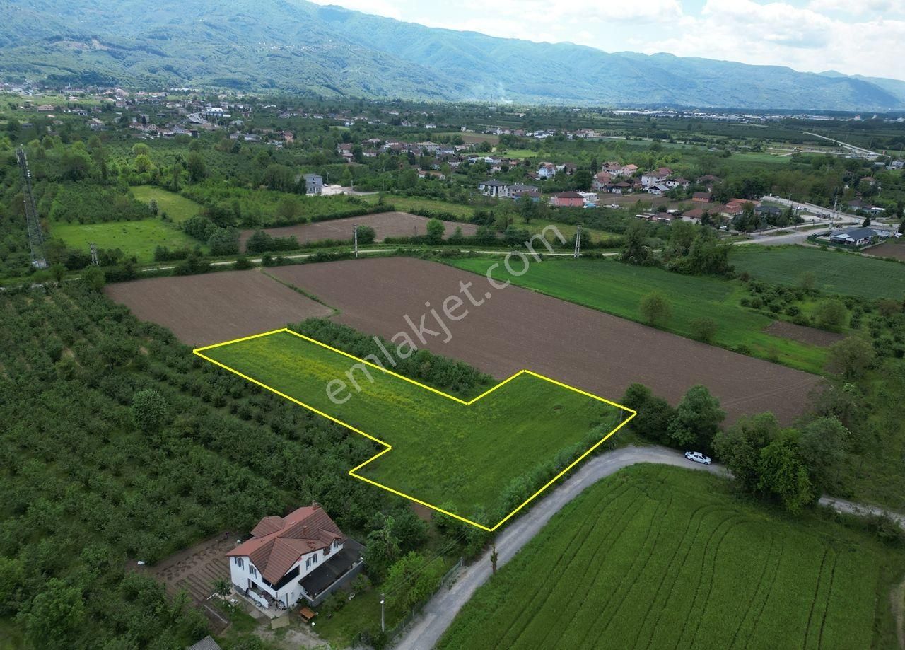 Beyköy Beldesi Çalıcuma Köyü'nde 3460 M2 Satılık Arsa