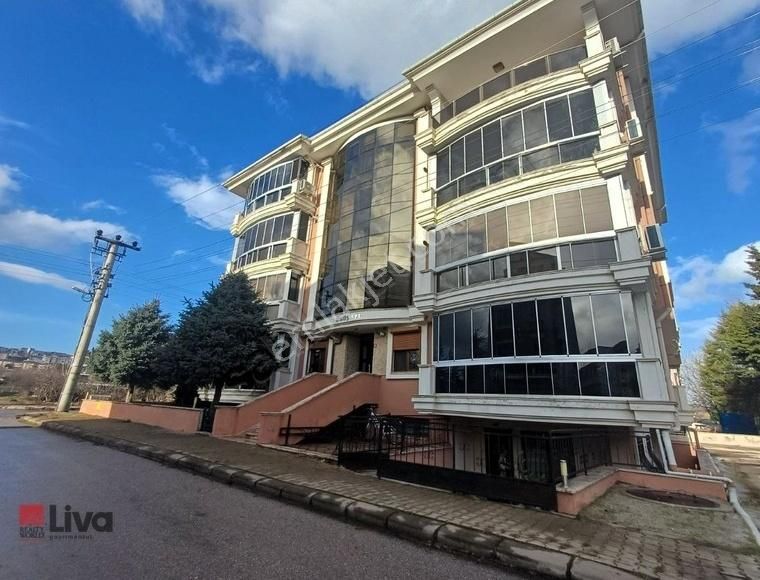 Liva'dan Paşaalanı Çengel Cadde Yanı Full Eşyalı Geniş 2+1 Daire