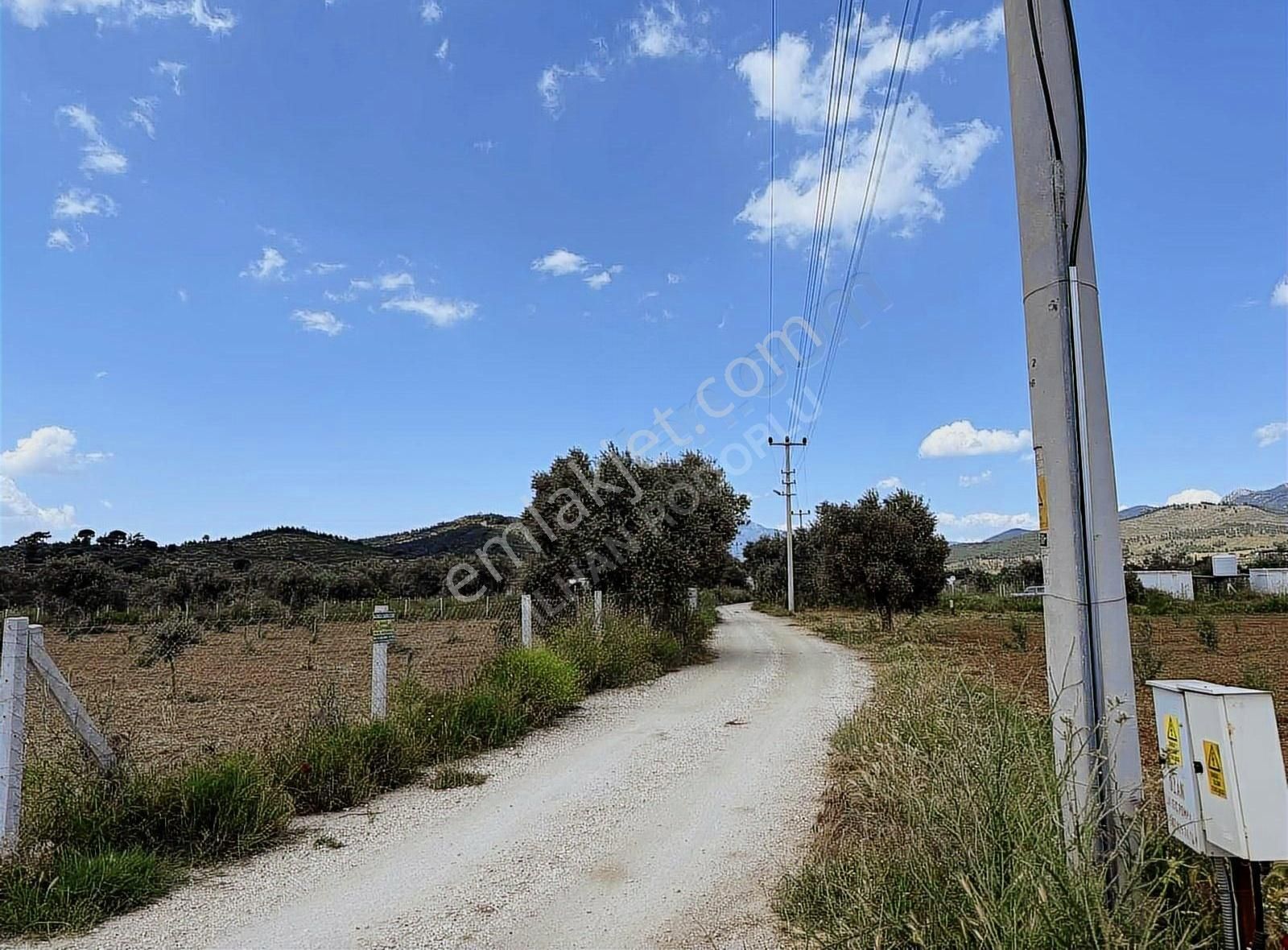 İlhan Rodoplu'dan Helvacı Da 5863 M2 Zeytinlik