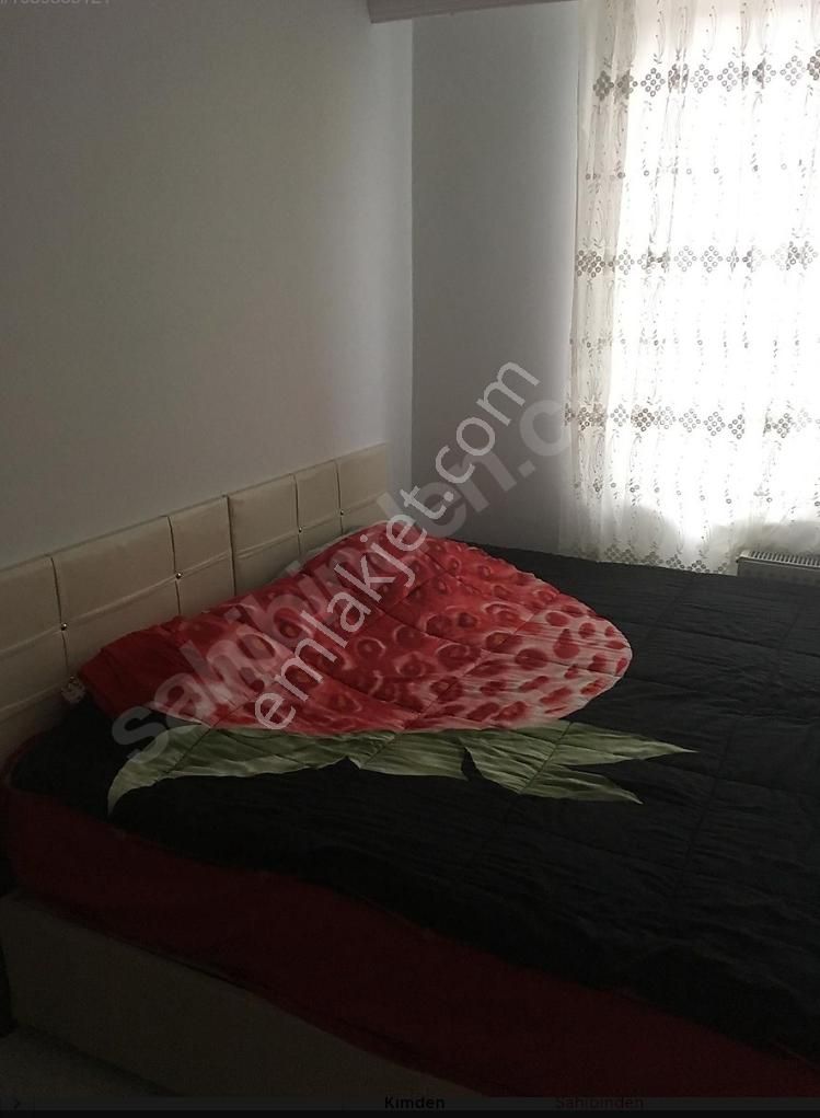 Merkezde Eşyalı 1+1