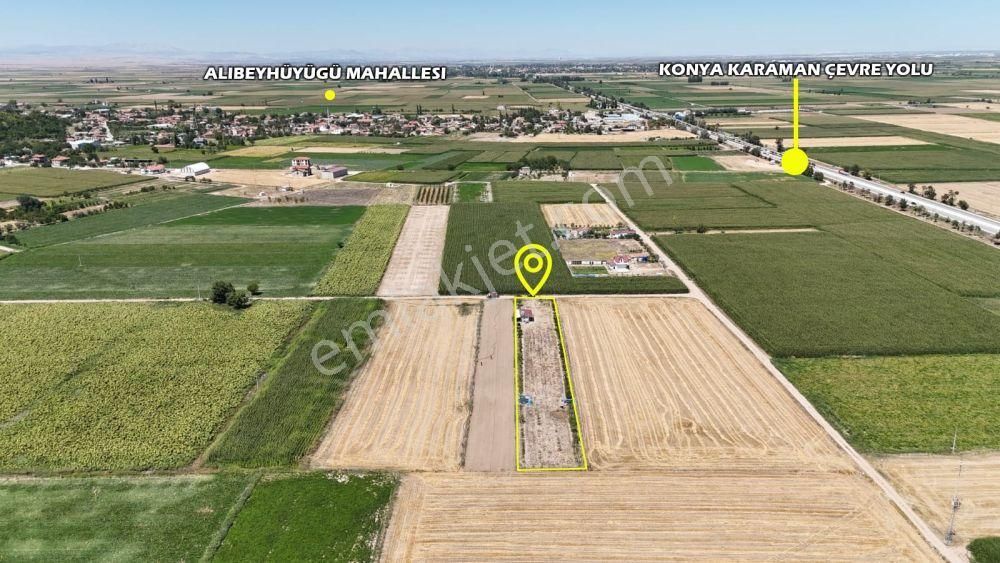 Konya / Çumra / Alibeyhüyüğü Mahallesinde 3.147 M² Müstakil Tapulu Tarla