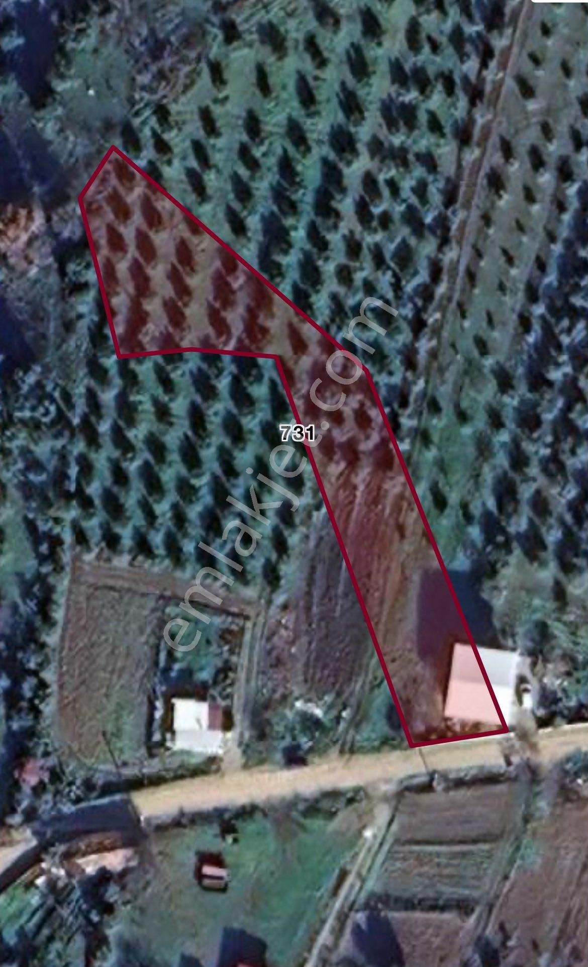 Cınar Obada Satılık 1.500m2 Villa İmarlı Arsa Yol Elektrik Su Kanalizasyon Vardır