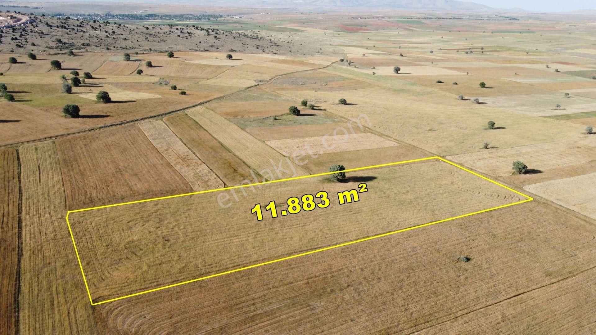 Akören Hacılar'da 11.883 M² Müstakil Tarım Arazisi