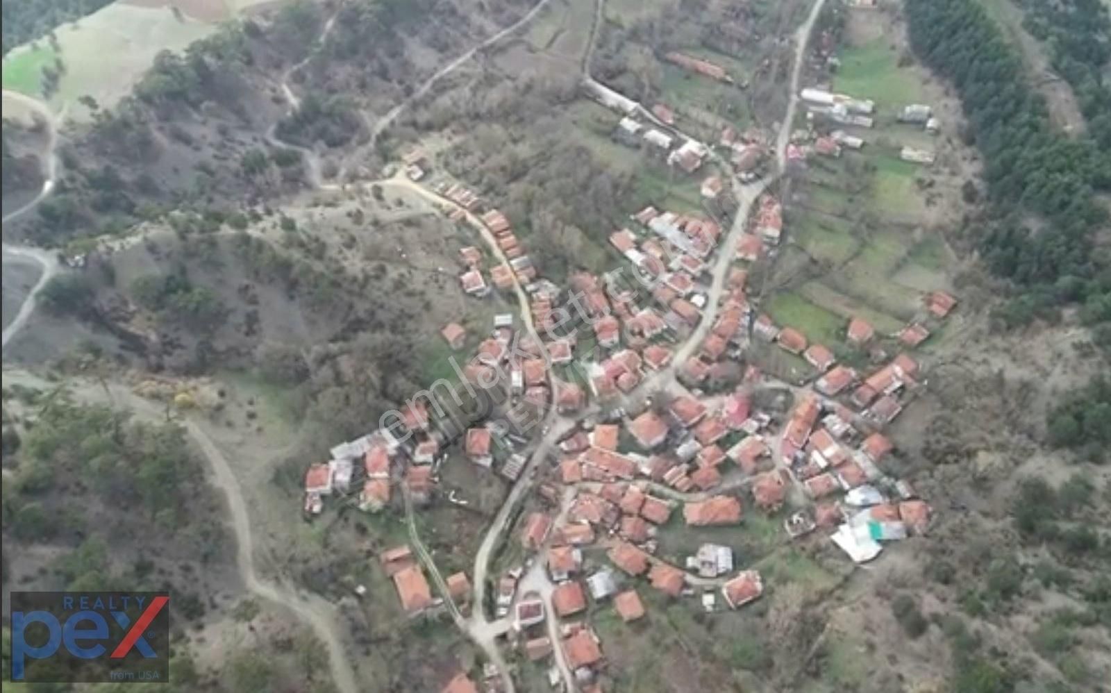Kuş Sesleri İçinde, Doğanın Kalbinde