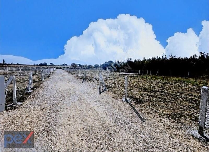 Pex'ten Kemalpaşa'da 297,52 M2 Tapulu Arazi