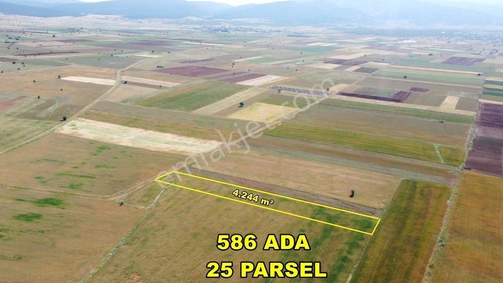 Konya / Akören / Hacılar 4.244 M² Tarım Arazisi