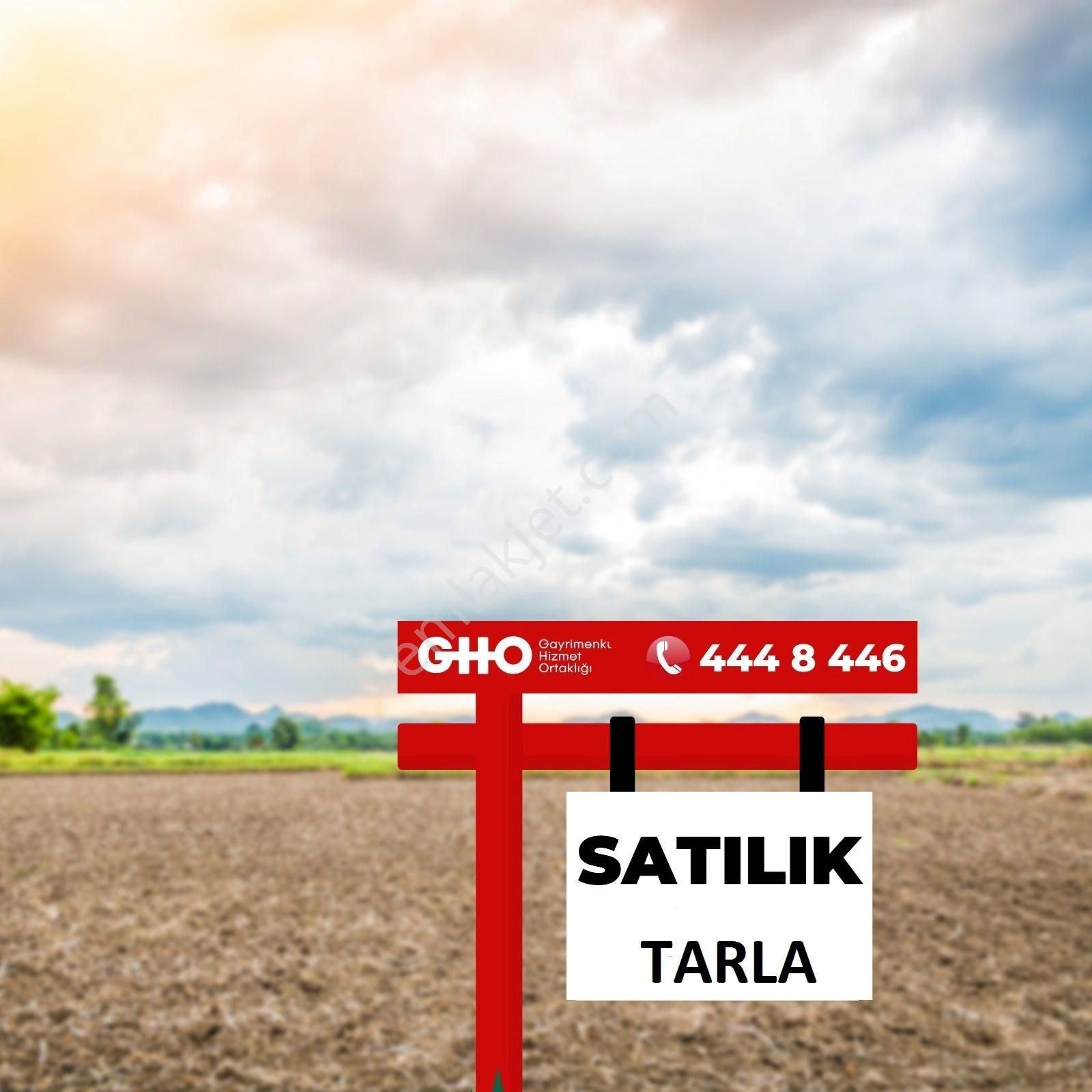 Gho Adalılar'dan Balıkesir Yeniköy'de 3617 M2 Satılık Tarla