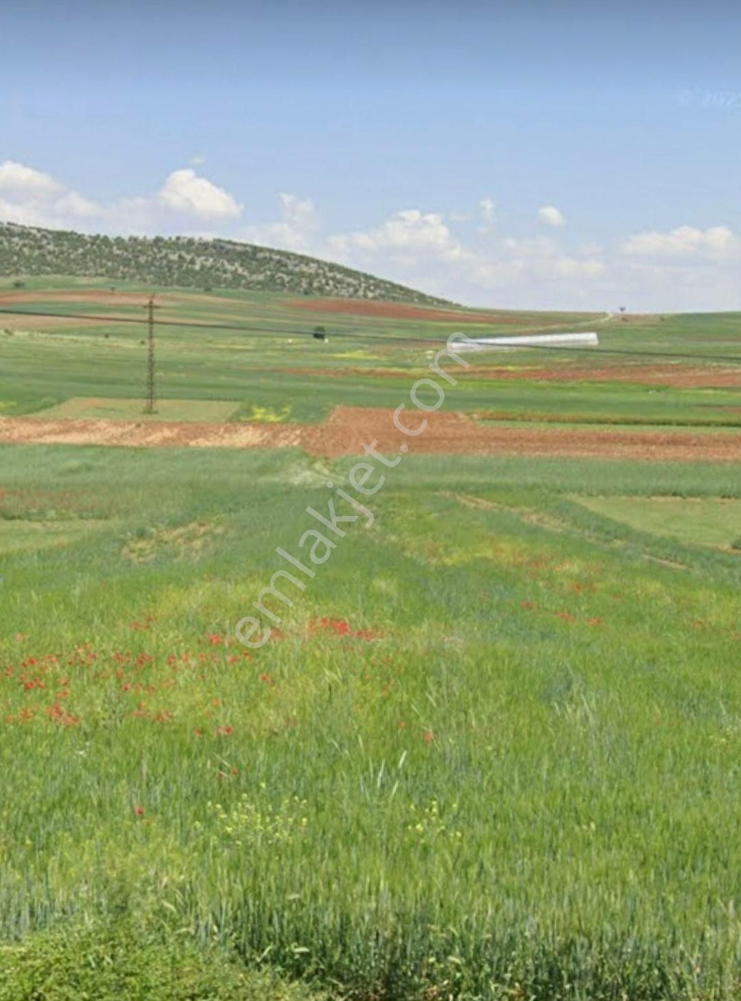 Komisyonsuz Yatırımlık Tarla