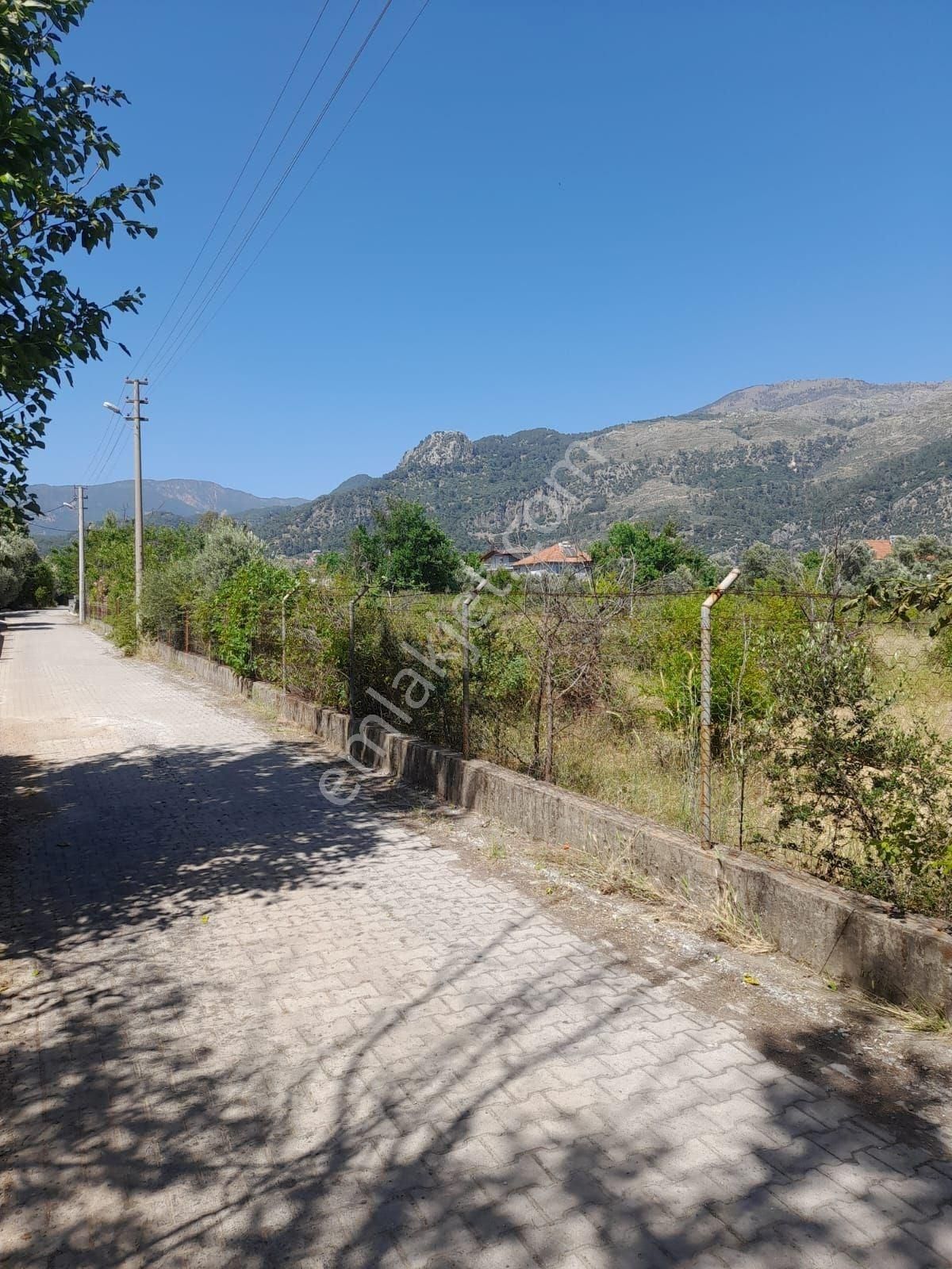 Köyceğiz Yangıda Satılık 9221 M2 Tarla